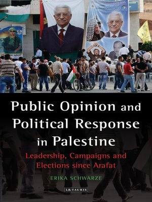 cover image of Public Opinion and Political Response in Palestine